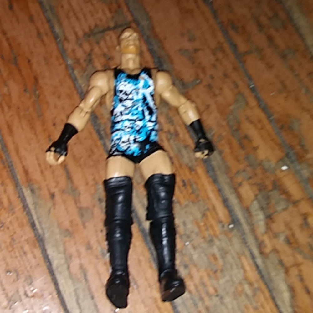 Wwe action figures rov an dan